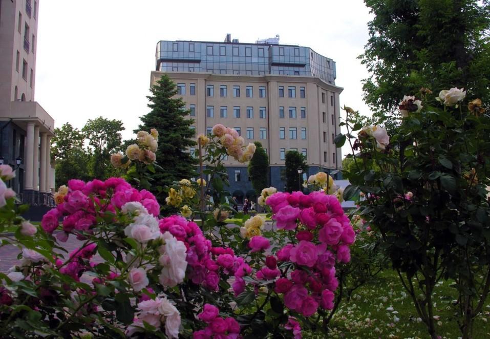 Аrcadia Nataly'S Pearls Appartments Odessa Eksteriør billede